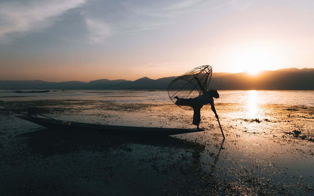 暑期“旅行专列”，让远方有景更有诗意
